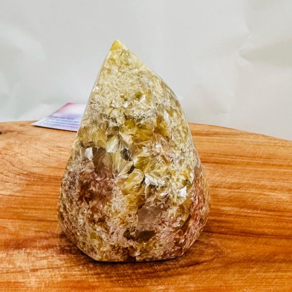 Golden Muscovite 9cm