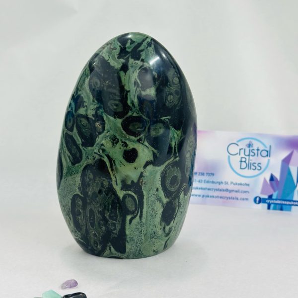 Kambaba Jasper 814gm