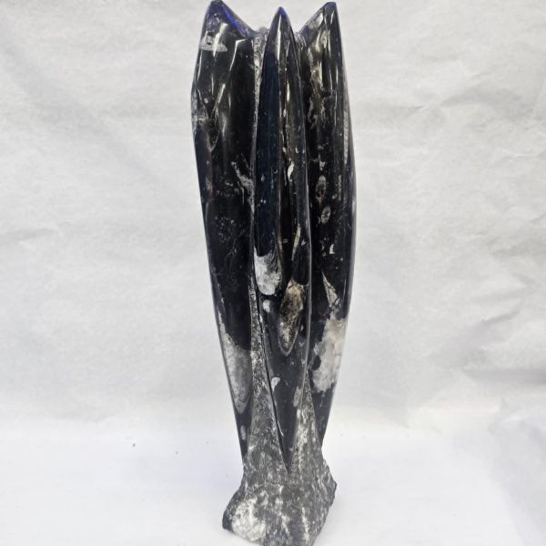Orthoceras Tower