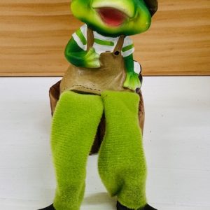 Frog Sitter