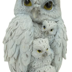Family of Owls